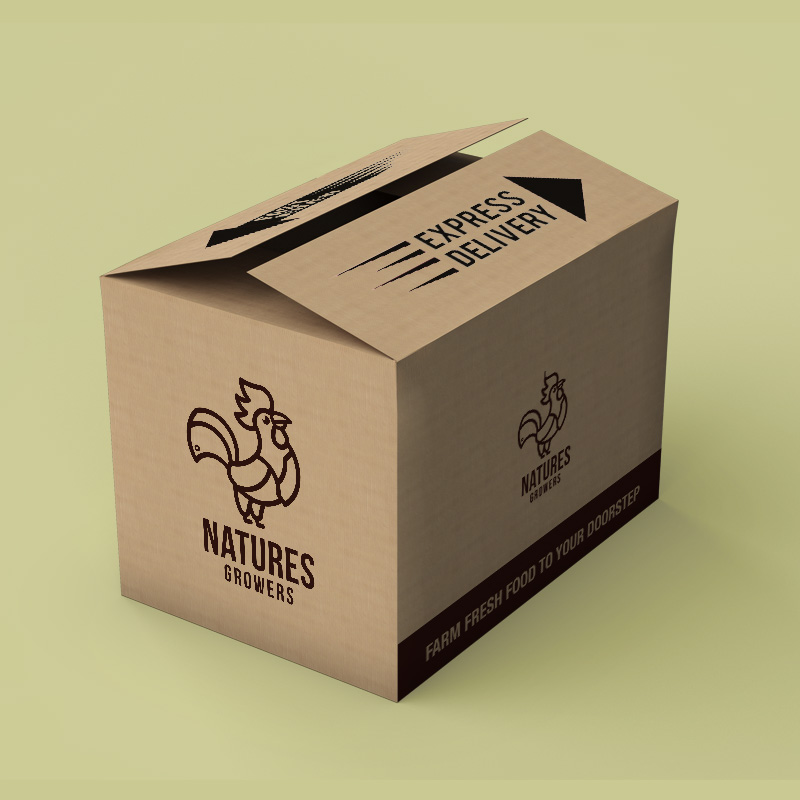 Packaging Design