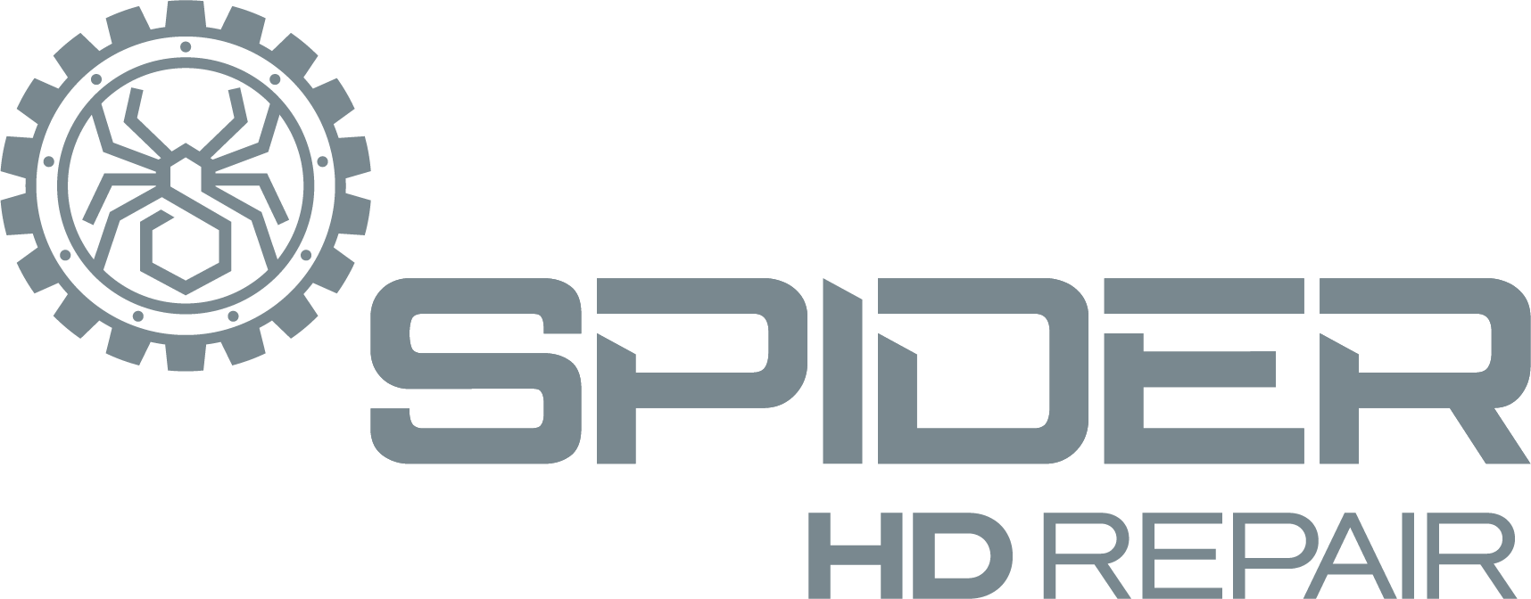 Spider HD Repair